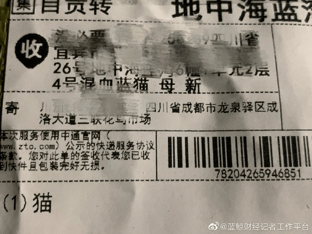 ccd160a395cc43eaa33a672368a41a10.png