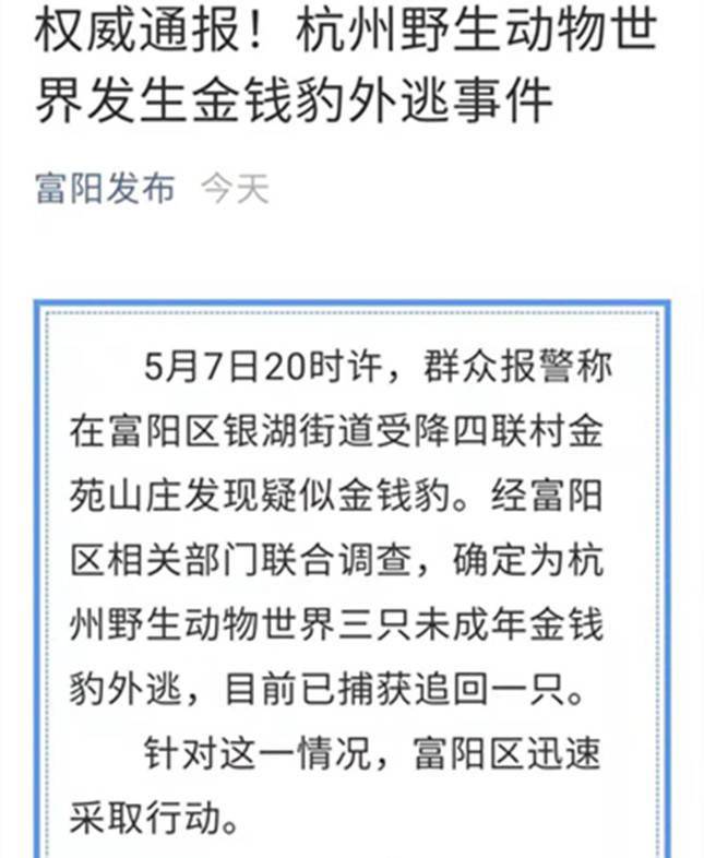 杭州野生动物世界三只金钱豹外逃,已追回一只,警方提醒发现踪迹及时