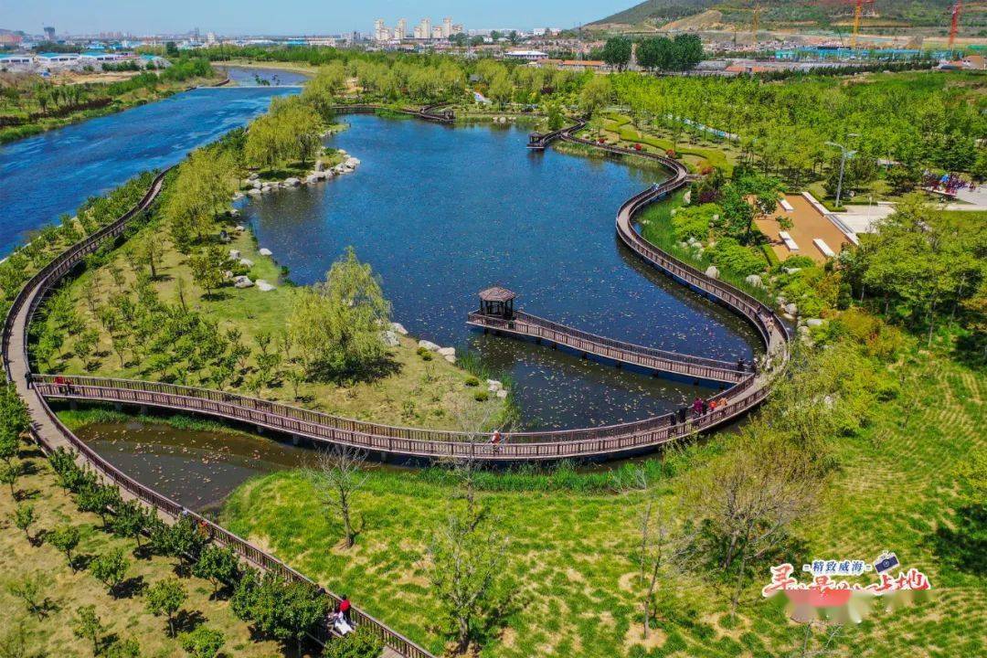 悄悄告诉你威海环翠区这个秘密花园超美