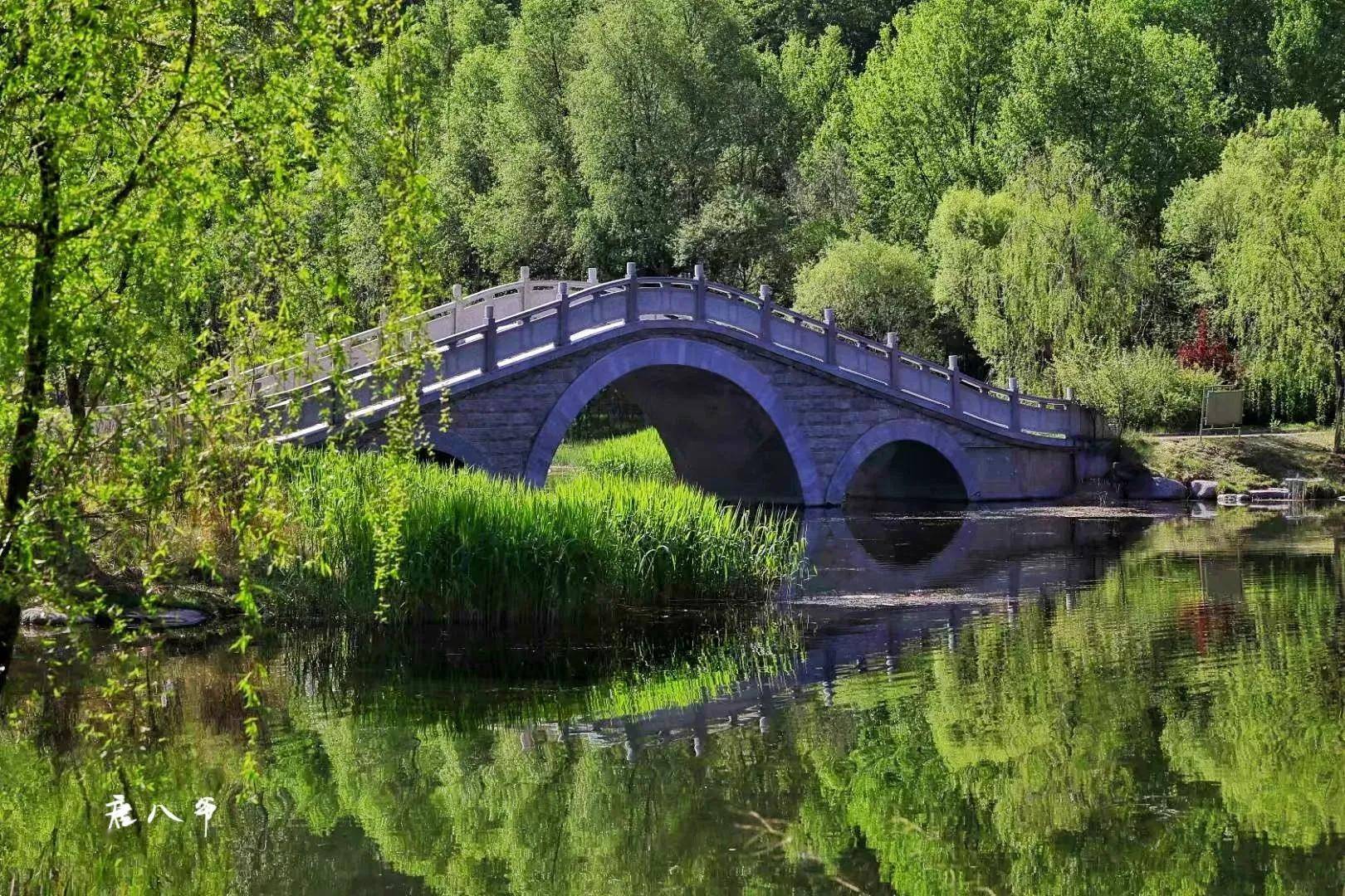 西宁湟水河湿地公园美景