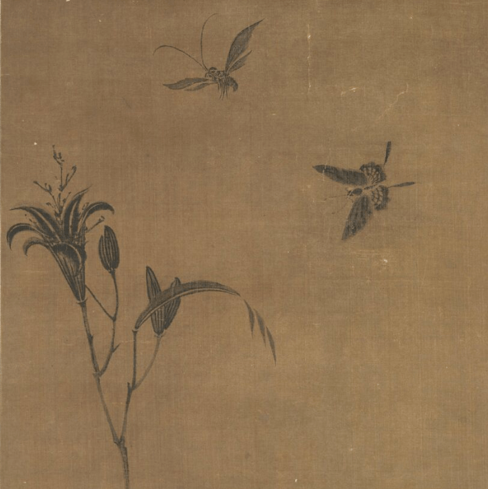 不,他是想妈妈了……_萱草