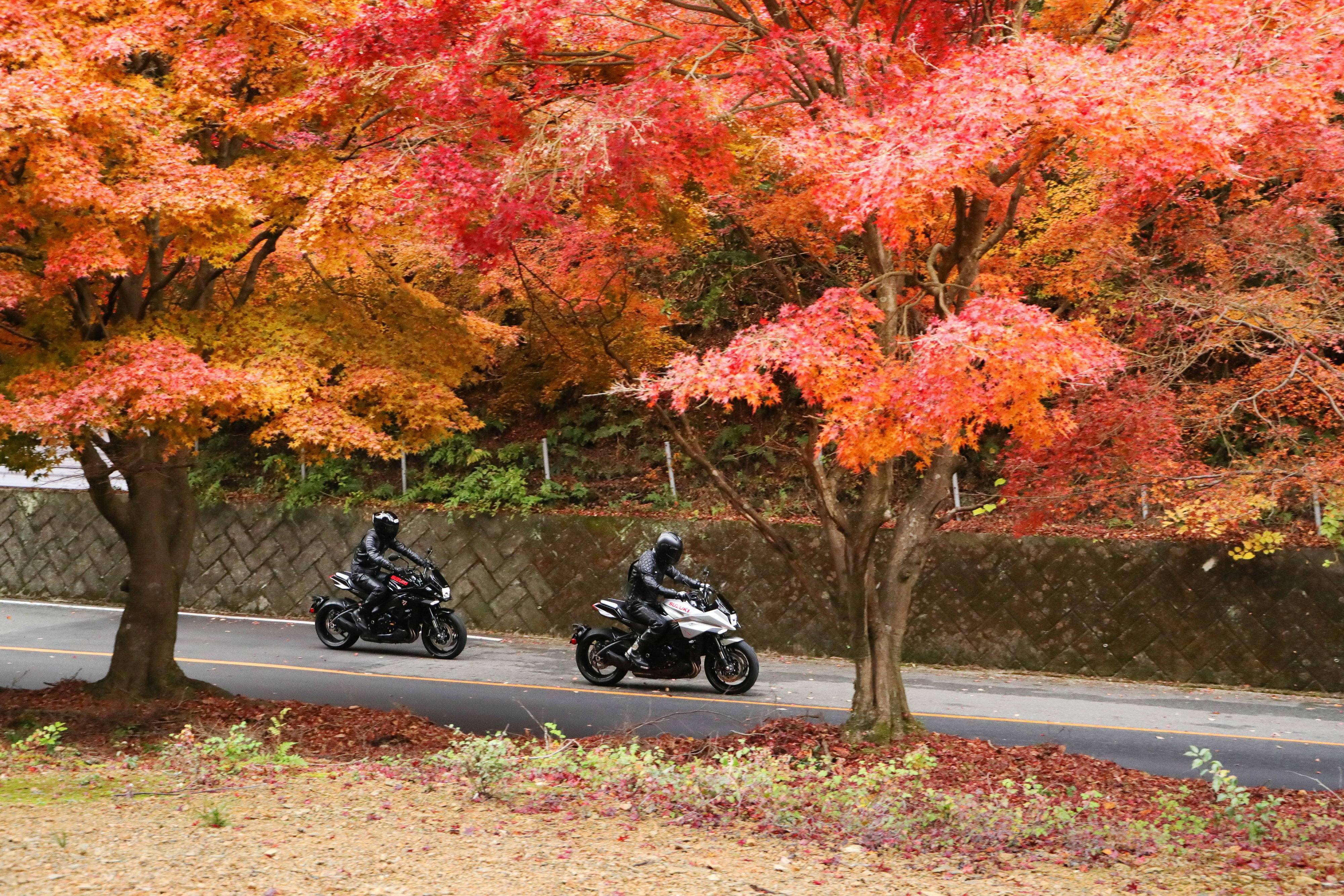 风情画:suzuki katana 与退役车手的日本本土之旅