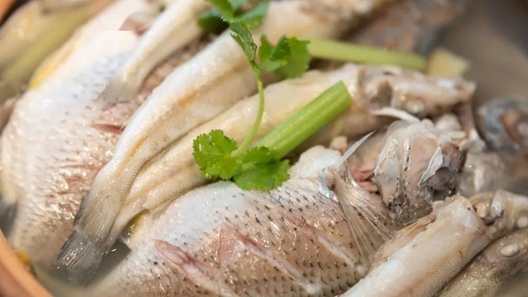 鱼多久刷新一下 ca0b489706394f0b86d0f1c64793c5e6.jpeg