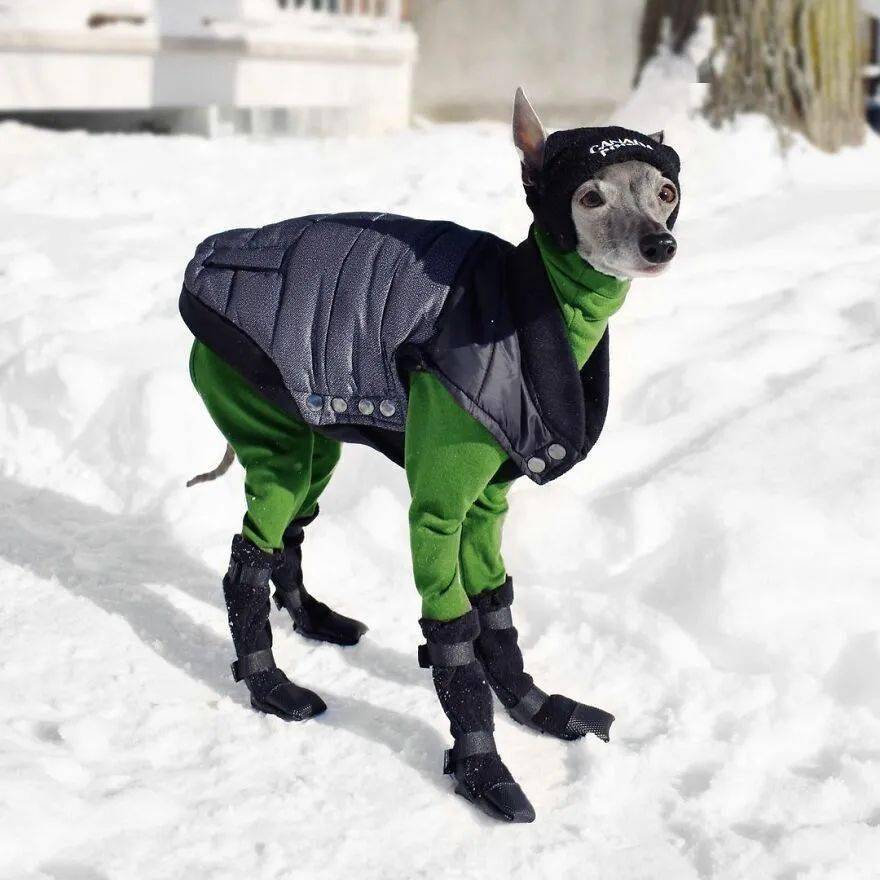 果然超模就算披麻袋(气泡膜)都那么好看!