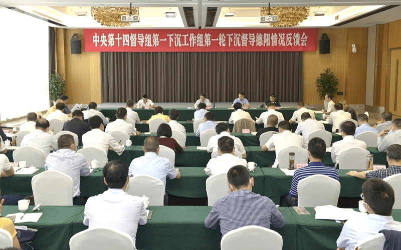 中央第十四督导组向德阳,达州,雅安,绵阳,遂宁,乐山反馈情况