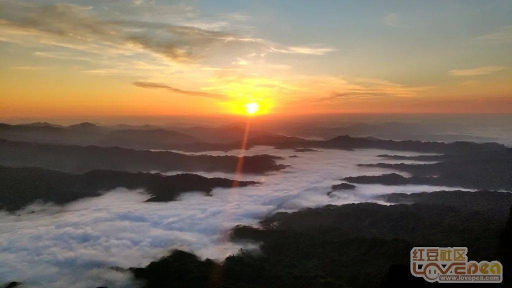 网眼看来宾美丽金秀看圣堂山日出云海赏银杉公园银杉王
