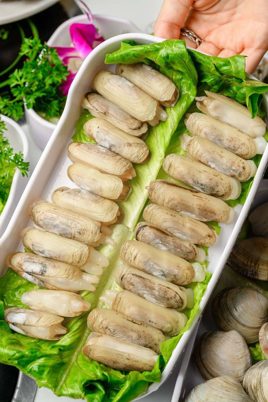 青口,香妃鲍螺.拿上!