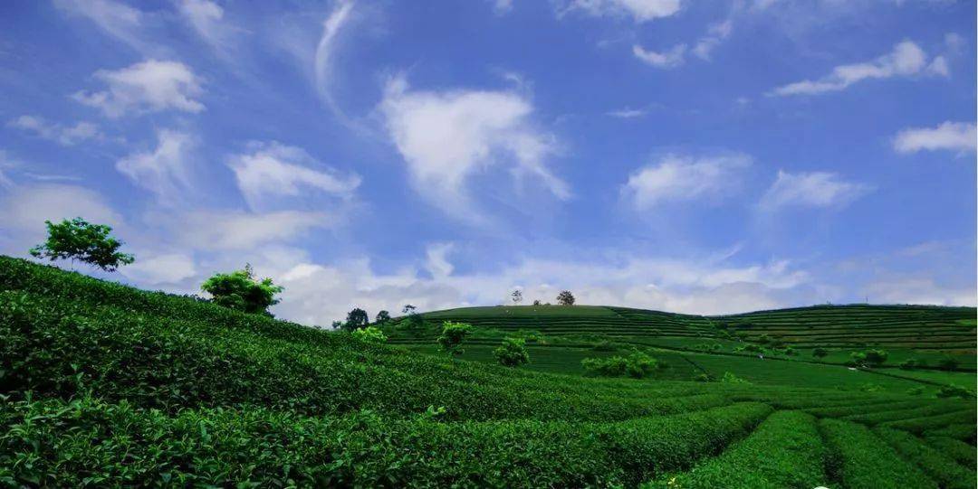 约!清凉恬静,这个夏天一起去上林