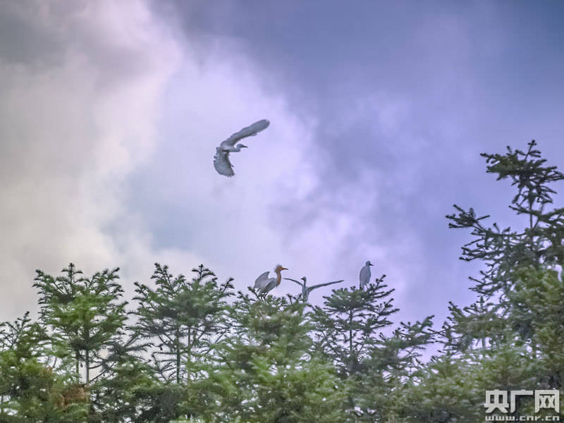 山清水秀曲谱_山清水秀头像(5)