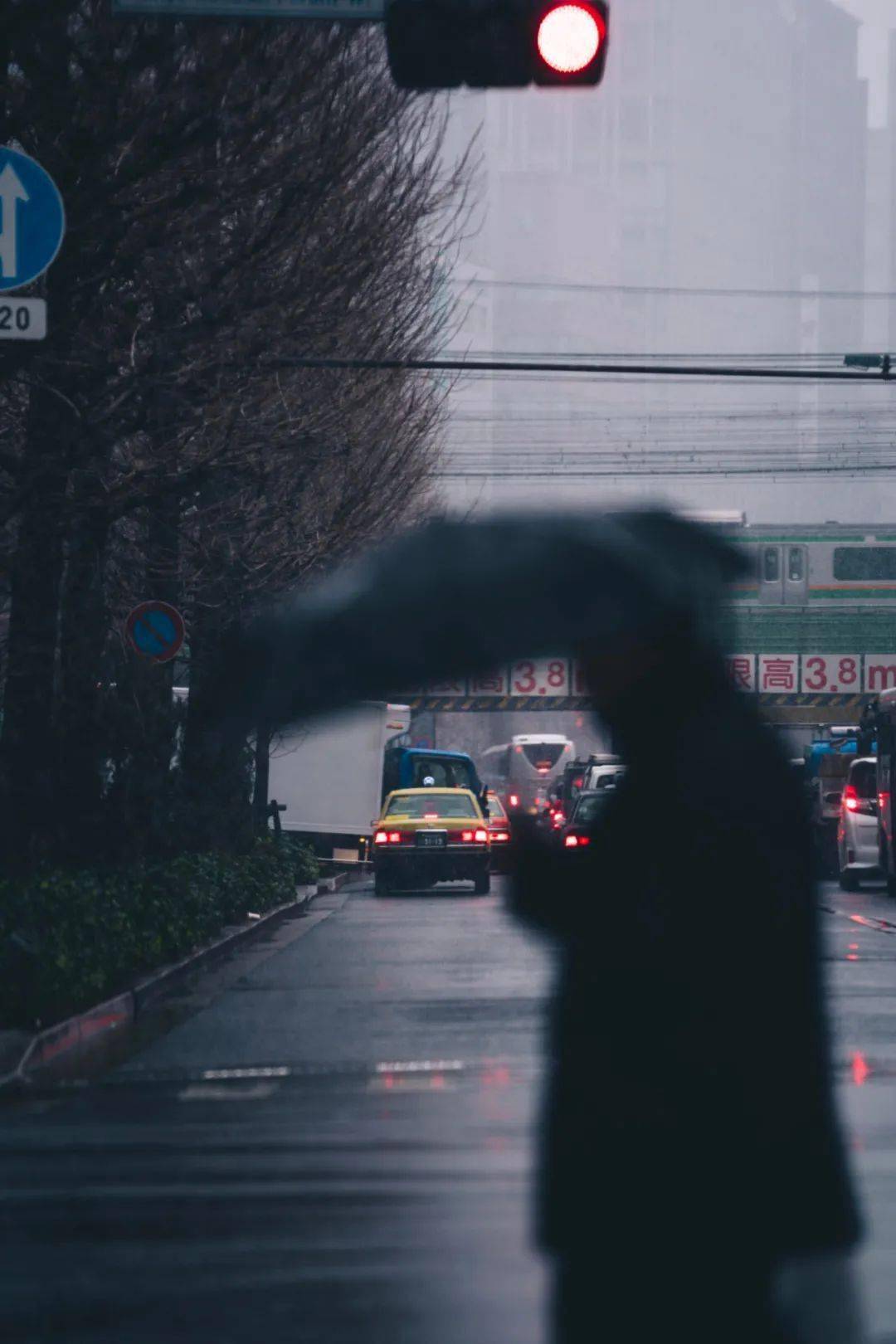 朝读美文 | 迟子建:路人行色匆匆,但你的人生可以慢半拍
