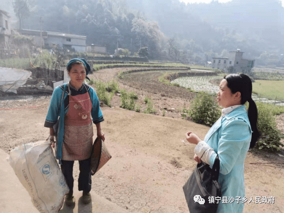 沙子乡开展新冠疫苗接种宣传