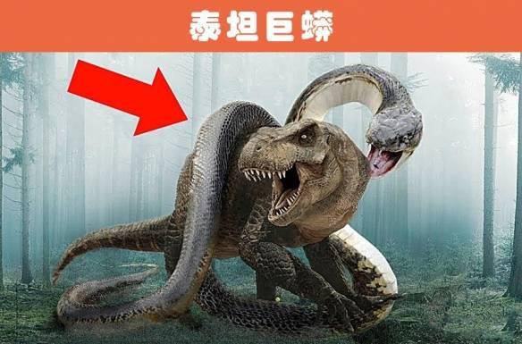 恐龙是地球上的绝对王者吗盘点7个远古的顶级掠食者
