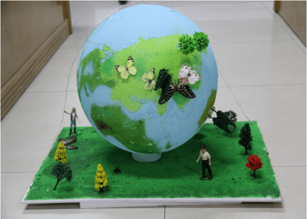 青春梦跟党走第十六届科技文化艺术交流节植物保护学院景观艺术大赛