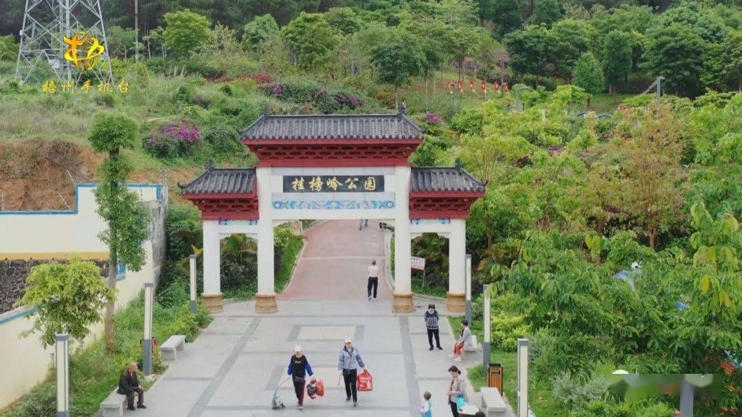 藤县投入6亿多元打造高颜值园林城市