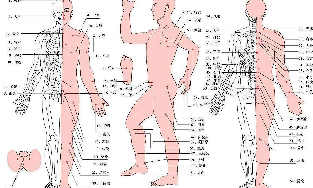身体侧面疼痛部位图解图片