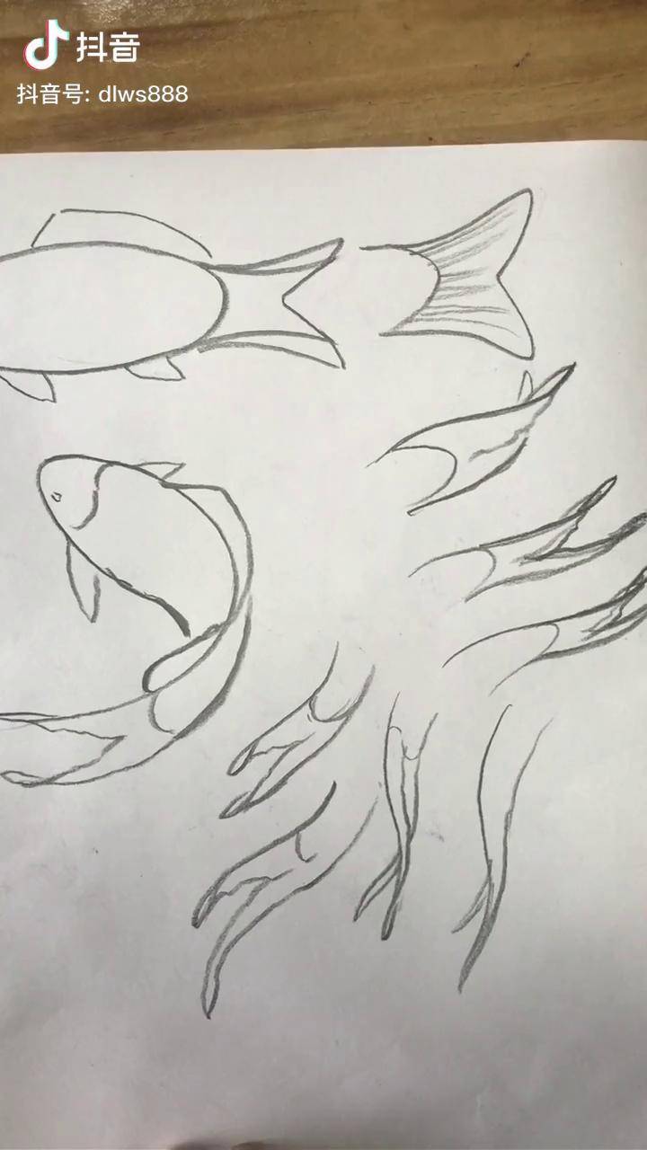 教您画鲤鱼鱼鳍,欢迎朋友们交流绘画 手绘 邹城东龙纹画
