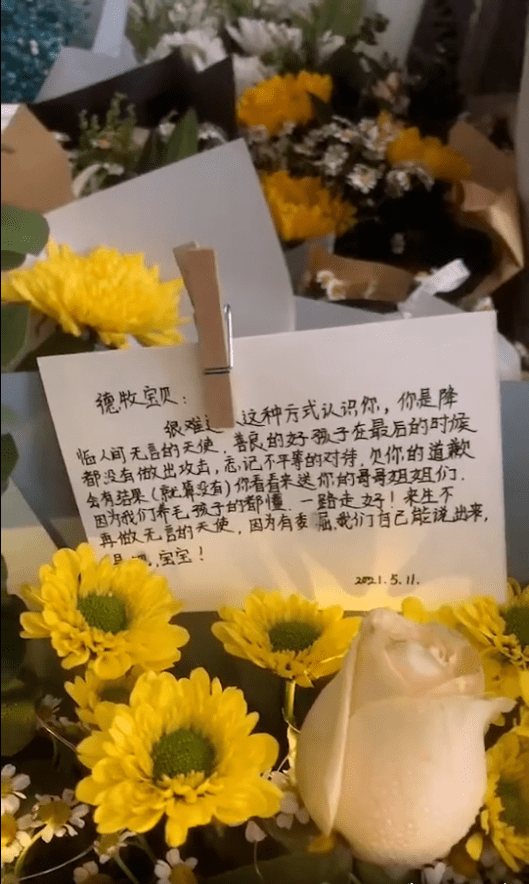 重庆德牧闹市"伤人",被警察连开八枪击毙,可网友却为德牧流泪!_壮壮