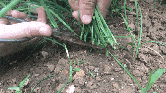 3c6cc9849989470fa14b675065fbe138.gif