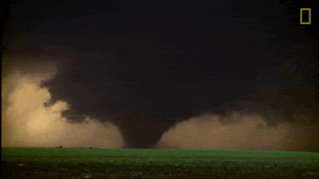6a07011c74c543cfbfed3b982f3e8e59.gif