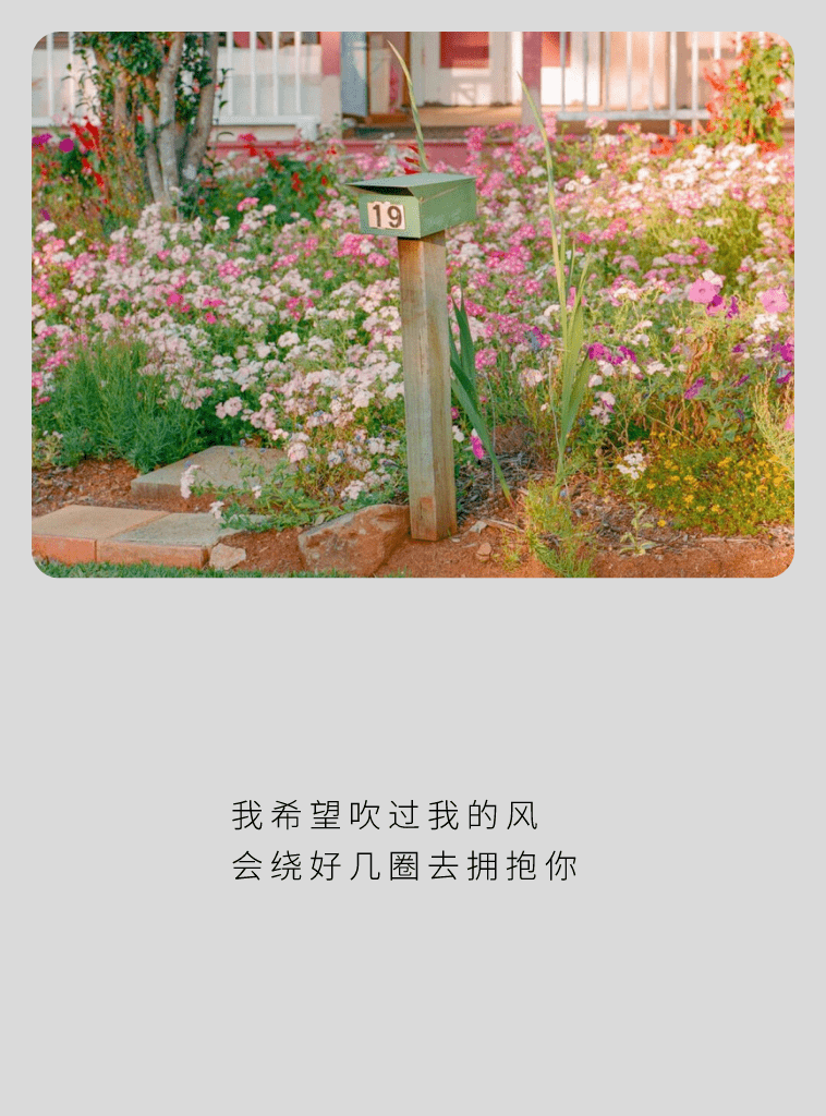 7428f96f736a458ea115bdb9b79091b8.png