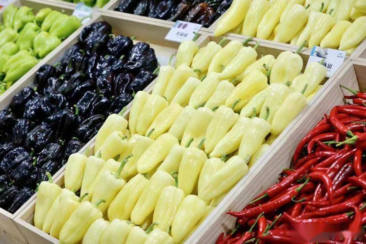 走近潍坊 见证"中国菜都"的发展与担当_蔬菜