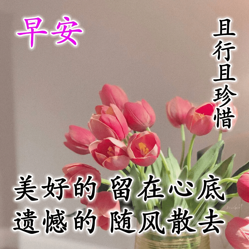 早晨安好一份好的感情是两心相依的温暖早晨好