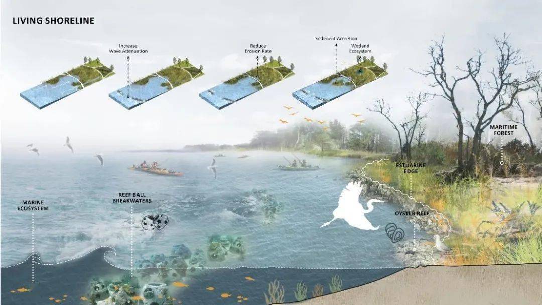 2020asla学生奖作品