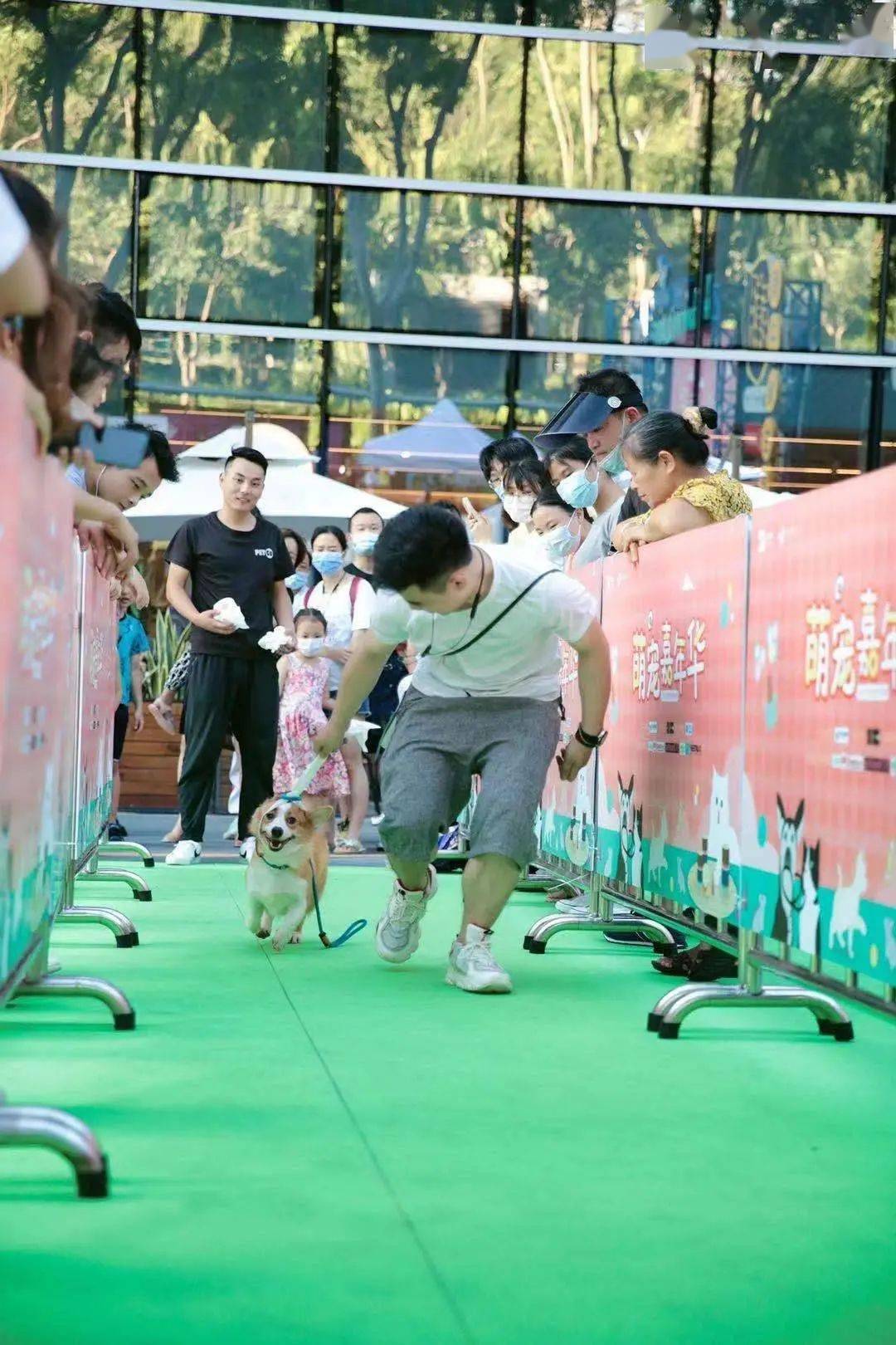 阿猫阿狗活动回顾5月1516日深圳大学城益田假日里萌宠嘉年华圆满落幕