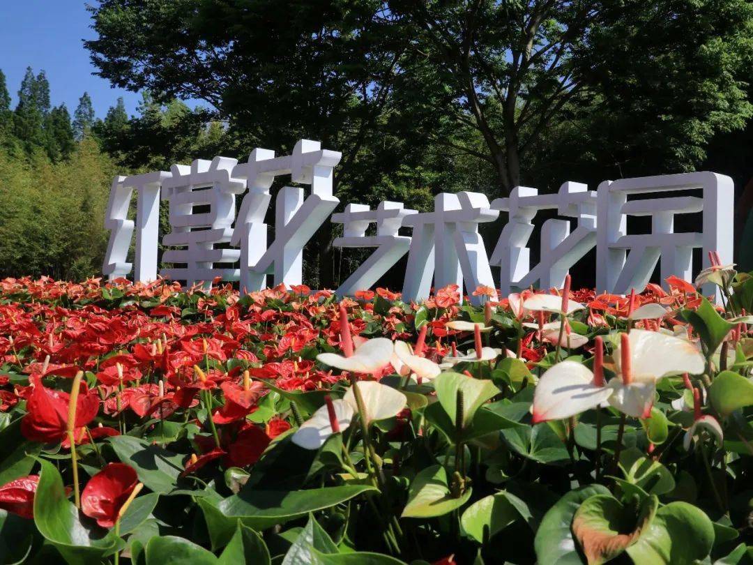 探索赏花正当时花博南园姹紫嫣红处处芬芳