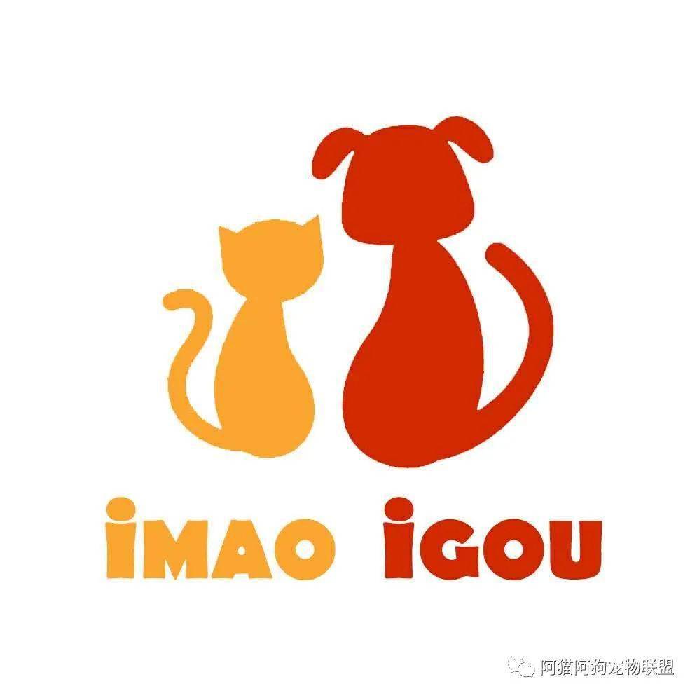 阿猫阿狗活动回顾5月1516日深圳大学城益田假日里萌宠嘉年华圆满落幕