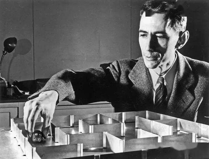 范内瓦·布什首先是一位学者,一位导师,同时是教育和科研的管理者