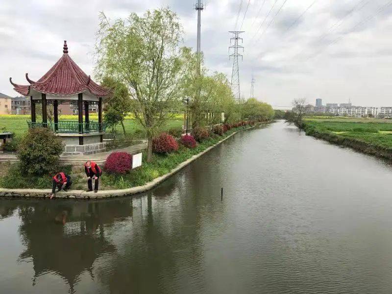 观海卫镇河道规划图片