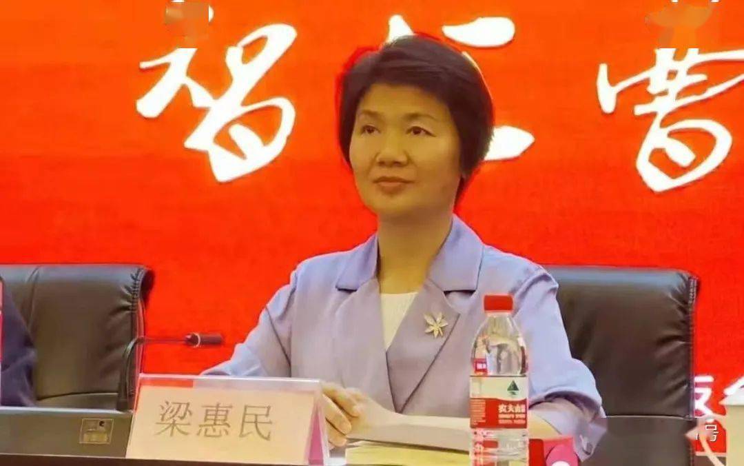 曹县县长:曹县"走红"与当地人的互联网思维有很大关系_梁惠民