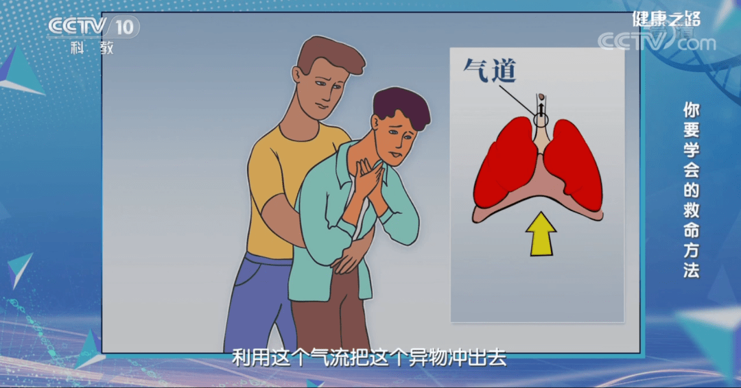喉骨什么成语_喉骨图片