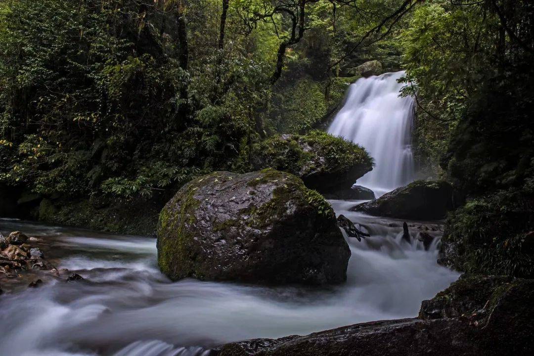 5 月 19 日中国旅游日，武功山免票福利等你来