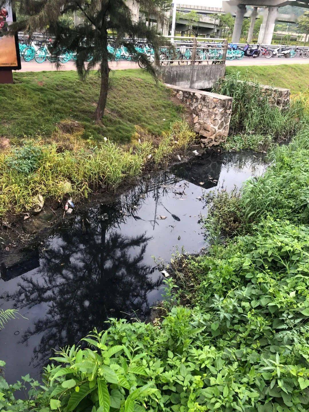 暗器排行_世界最牛暗器,第2来自中国,第3堪称狩猎神器