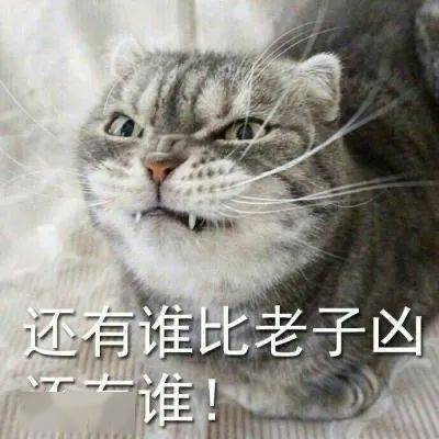 11d1a539459c4179bce7527f7f03c53e.jpeg