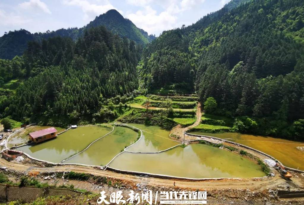 2021年,剑河县南寨镇绕庆村积极争取到财政专项扶贫资金41万元,基地