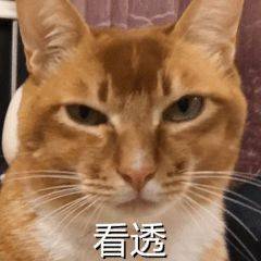 0aaf5ce86a1c492f8dd515d6cb00489d.jpeg