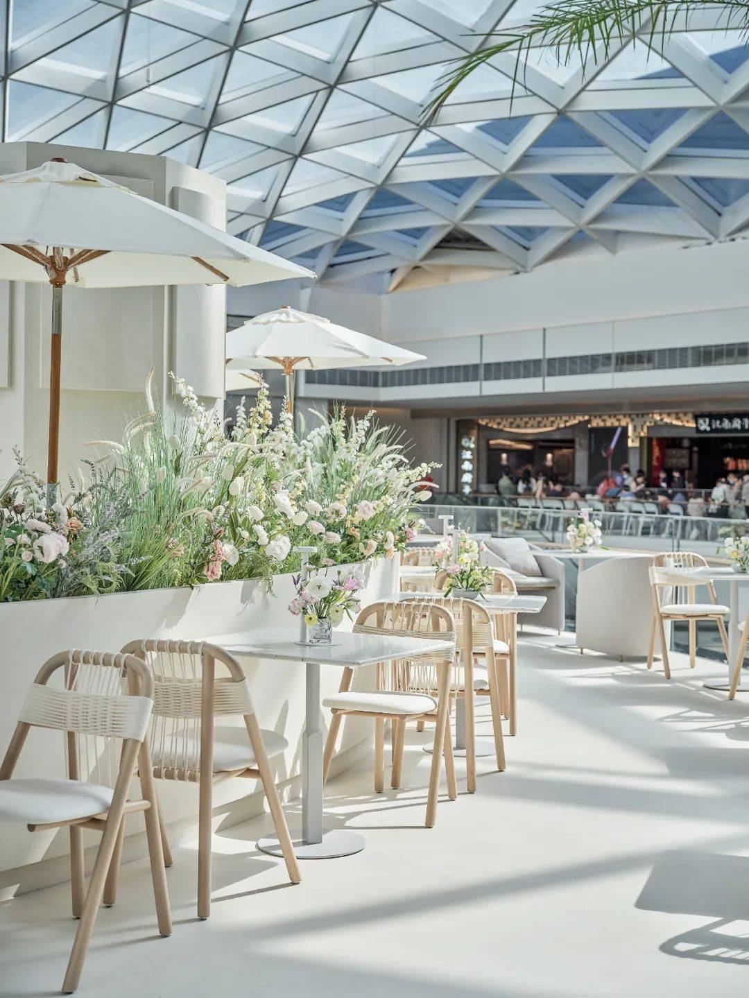 首发x梁筑tomacado花厨深圳全新概念店