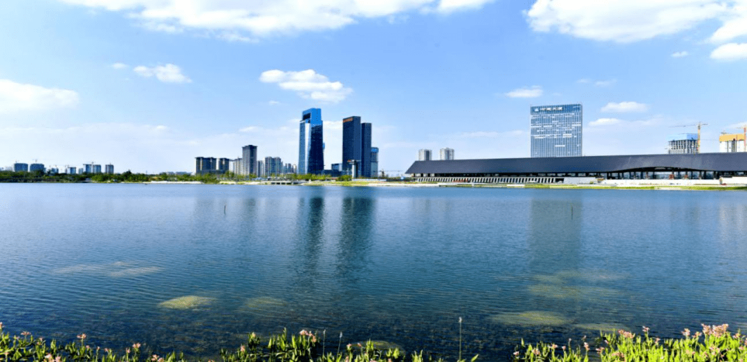 十四五区市县怎么看怎么办怎么干四川天府新区加快建设高质量发展引领