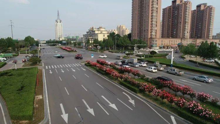 "邢州大道的月季树太漂亮了,最近邢州大道的景观让人留恋,开车经过