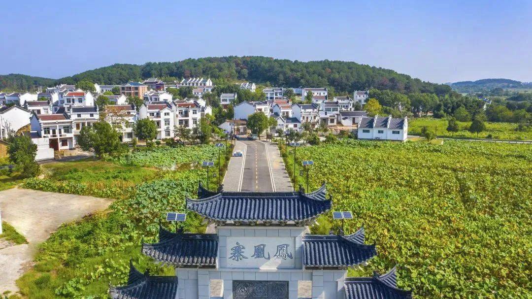 《黄陂凤凰寨村 邹幼勤 摄《黄陂双河村 马巧云 摄《江夏红