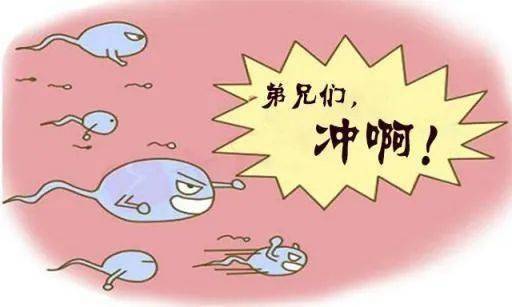 dd509966b99640f0b1eab73dbbe11f68