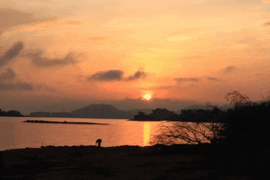 度假千岛湖199元起抢购千岛湖最大的单体湖景度假酒店阳光水岸度假村