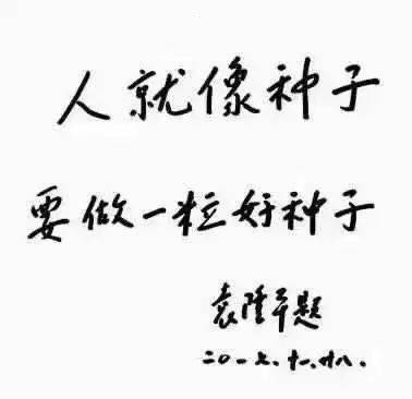 稻禾什么成语_禾稻(4)