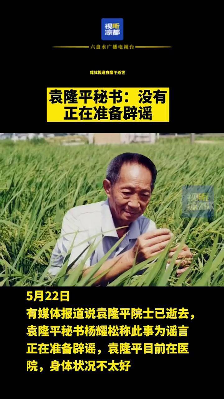 辟谣!袁隆平逝世消息不实 袁隆平秘书:网传逝世是假消息