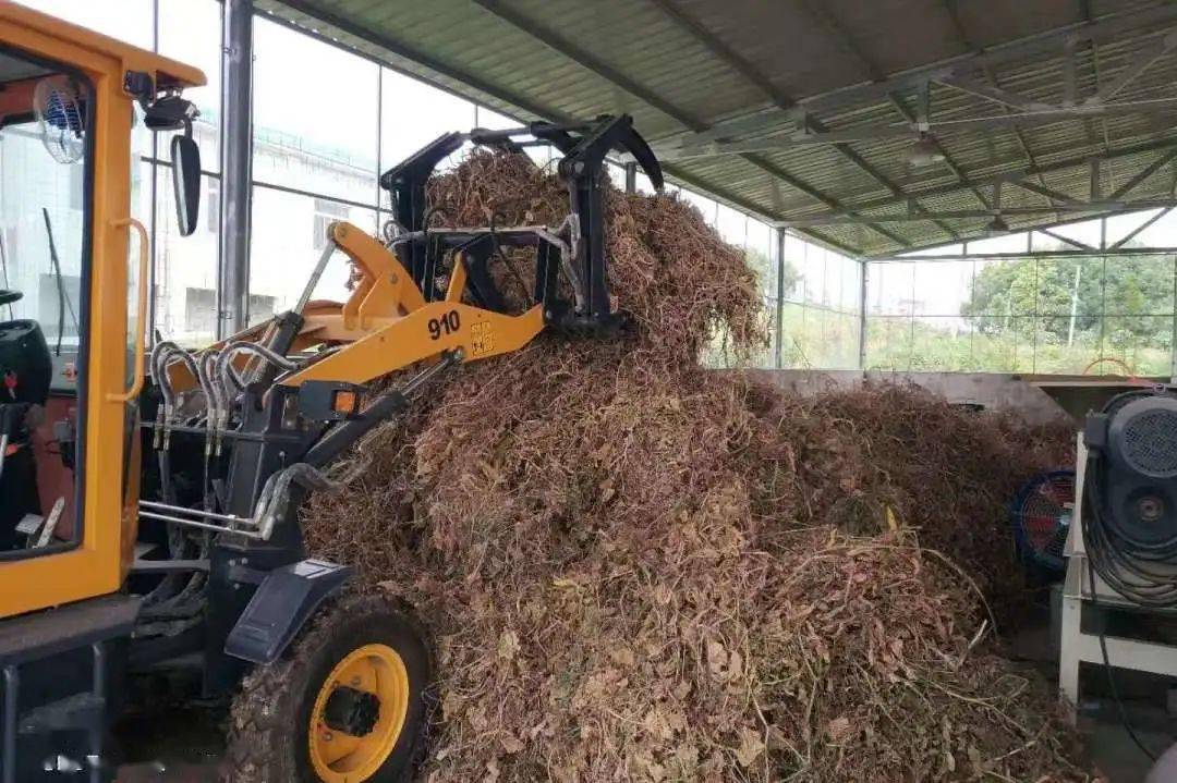 零碳"洛"实 | 农业废弃物再利用 助力探路"碳达峰 碳中和"