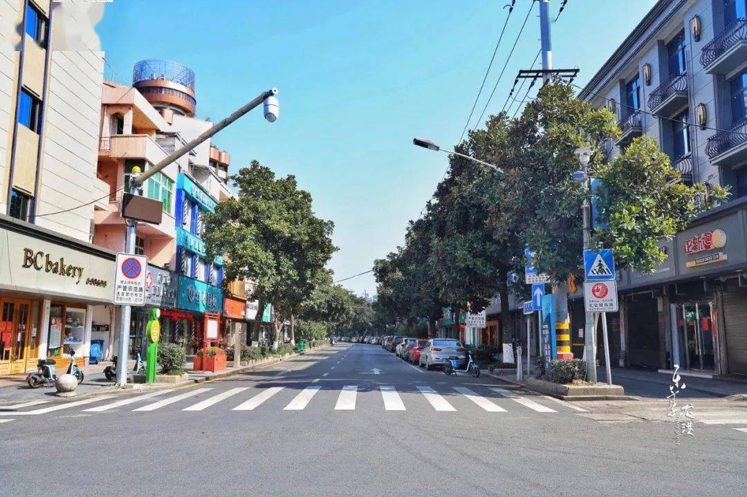 龙港龙跃路步行街图片