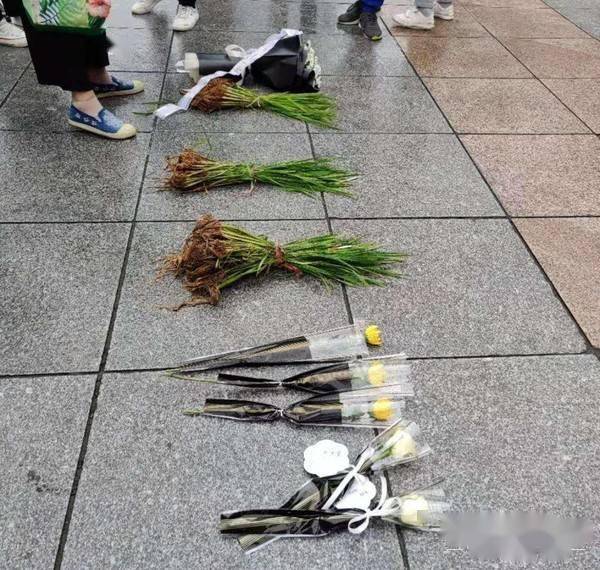 原创
这份伟大无需多言!回忆关于袁老的34件小事,愿最亲切的您晚安